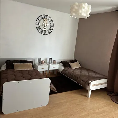 Spacieux 4 Pièces Parking Privé Navette Gare-aeroport Appartement *