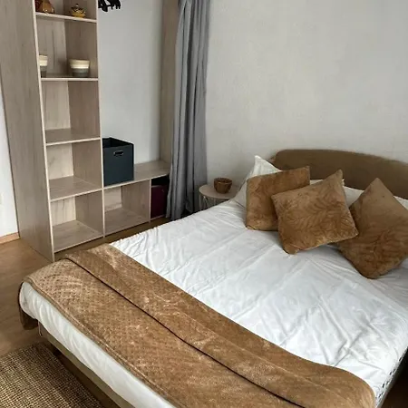 Spacieux 4 Pièces Parking Privé Navette Gare-aeroport * Colmar