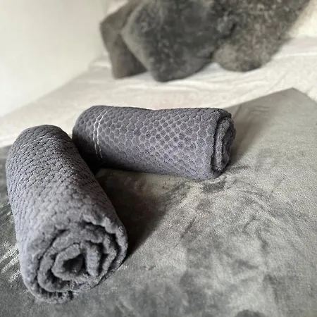 Apartamento Le Madrid Spacieux 4 Pieces Parking Privee