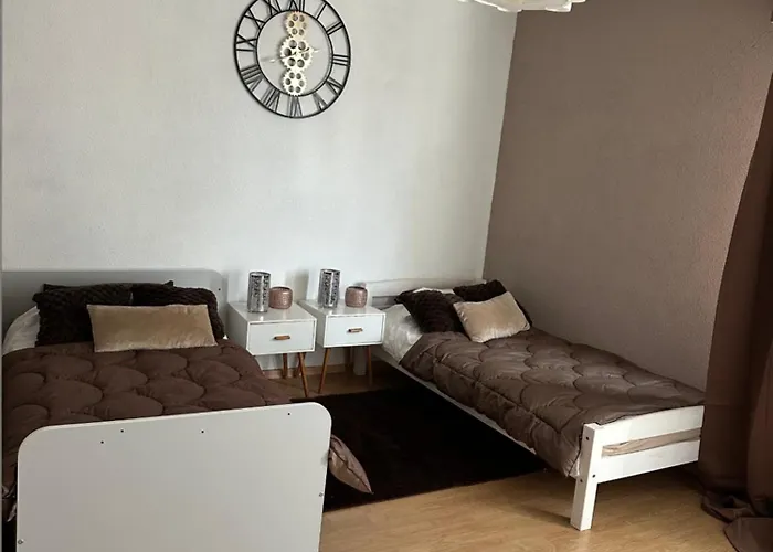 Spacieux 4 Pièces Parking Privé Navette Gare-aeroport Appartement *