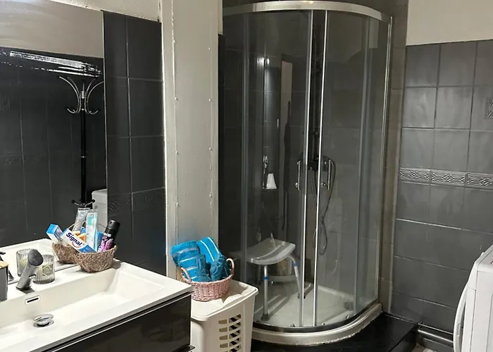 Spacieux 4 Pièces Parking Privé Navette Gare-aeroport Appartement Colmar