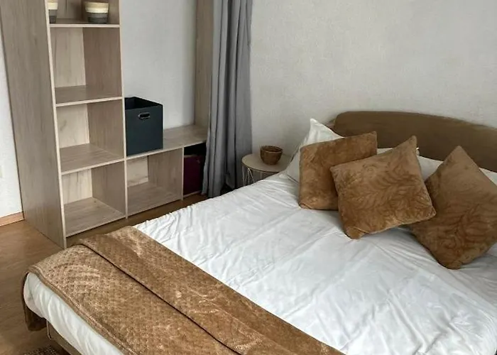 Spacieux 4 Pièces Parking Privé Navette Gare-aeroport * Colmar