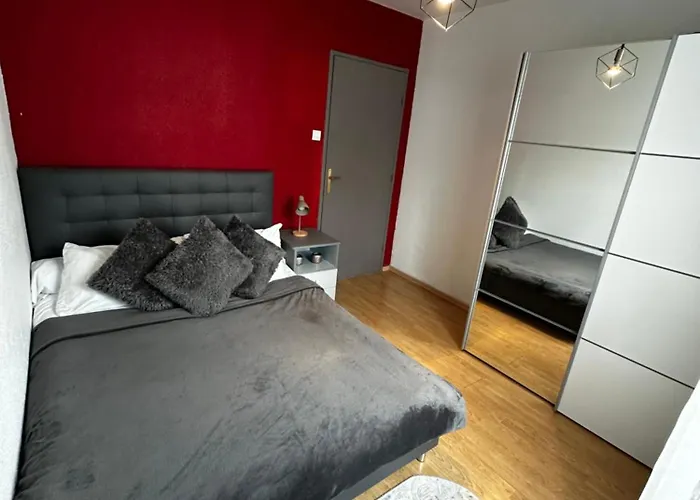Appartement Spacieux 4 Pièces Parking Privé Navette Gare-aeroport Colmar